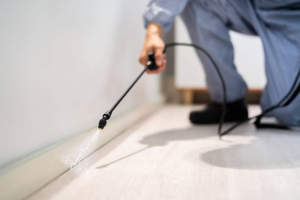 Licensed Termite Control service in Pittsville, MD - Nex Pest Control