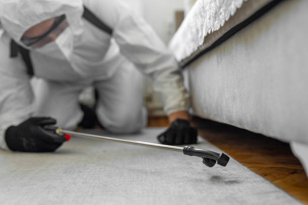Professional Termite Control technician working in Pittsville, MD