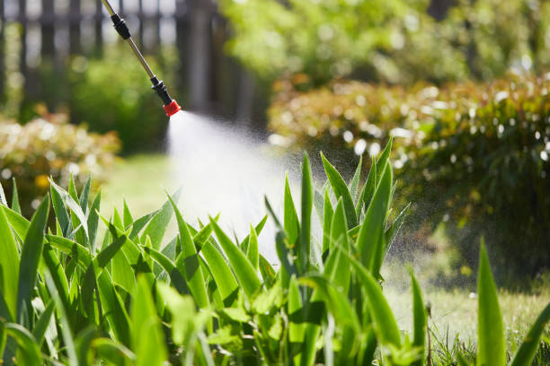 24/7 Emergency Termite Control experts in Pittsville, MD