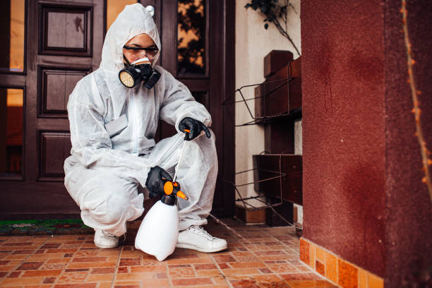 Reliable Termite Control contractor in Pittsville, MD by Nex Pest Control