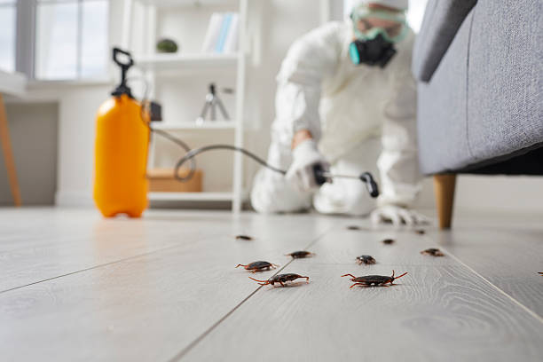 Trusted Cockroach Control service in Pittsville, MD - Nex Pest Control