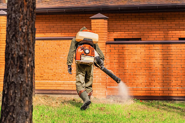 Trusted Termite Control service in Pittsville, MD - Nex Pest Control